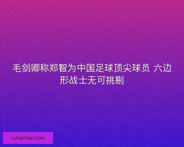 毛剑卿称郑智为中国足球顶尖球员 六边形战士无可挑剔