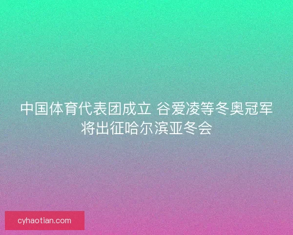中国体育代表团成立 谷爱凌等冬奥冠军将出征哈尔滨亚冬会
