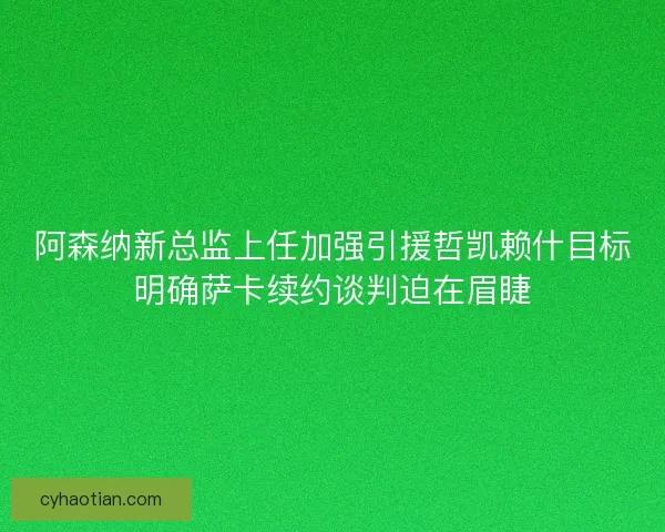 阿森纳新总监上任加强引援哲凯赖什目标明确萨卡续约谈判迫在眉睫