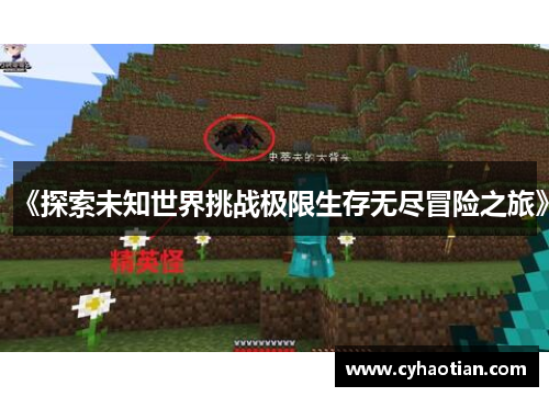 《探索未知世界挑战极限生存无尽冒险之旅》
