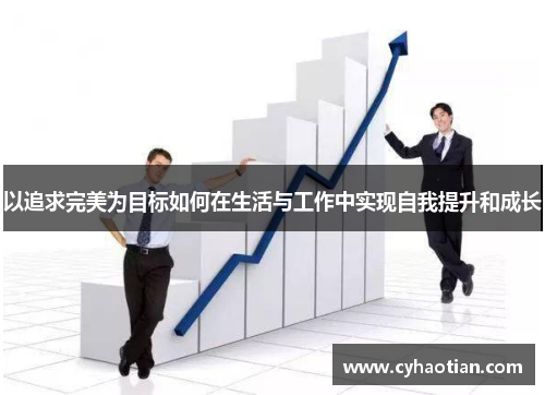 以追求完美为目标如何在生活与工作中实现自我提升和成长