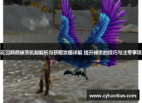 花羽鹦鹉掉落机制解析与获取攻略详解 提升掉率的技巧与注意事项